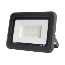 Reflektor LED Braytron 30W 6500K 2550lm IP65 sivi